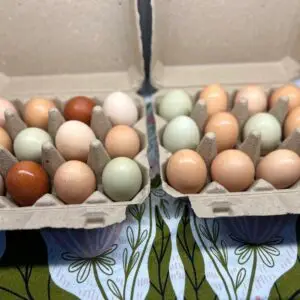Eggs